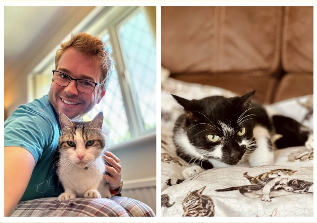 Two photos side by side: a man in glasses holding a tabby and white cat, and a black and white cat lying on a patterned bed cover