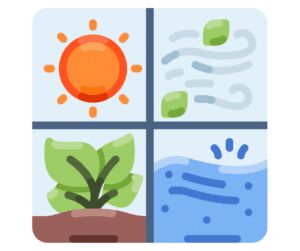 Four-panel icon showing a sun, blowing wind, a plant growing in soil and rippling water