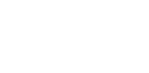 CASE