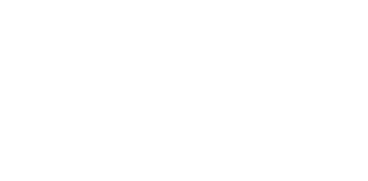 Insomnia the Gaming Festival