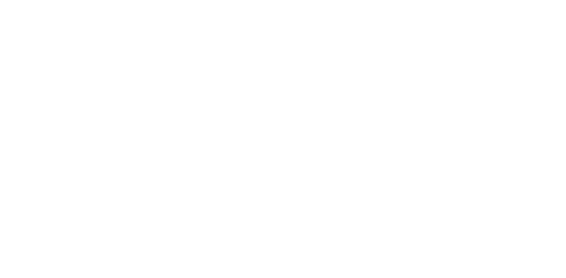 Pro Bono Economics