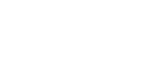 Stroke Association